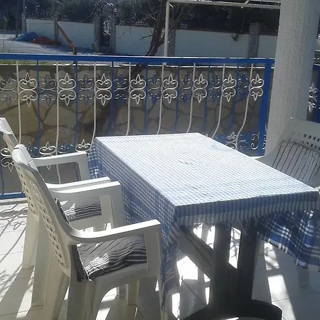 Gala Apartment *