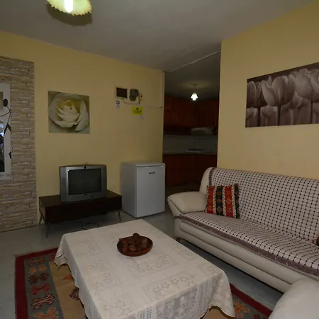 Gala Dalyan