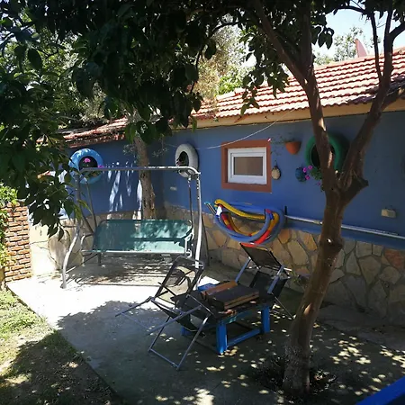Gala