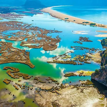 Gala Dalyan
