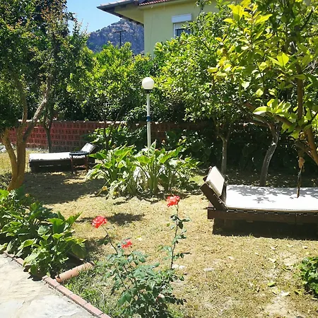 Gala Dalyan